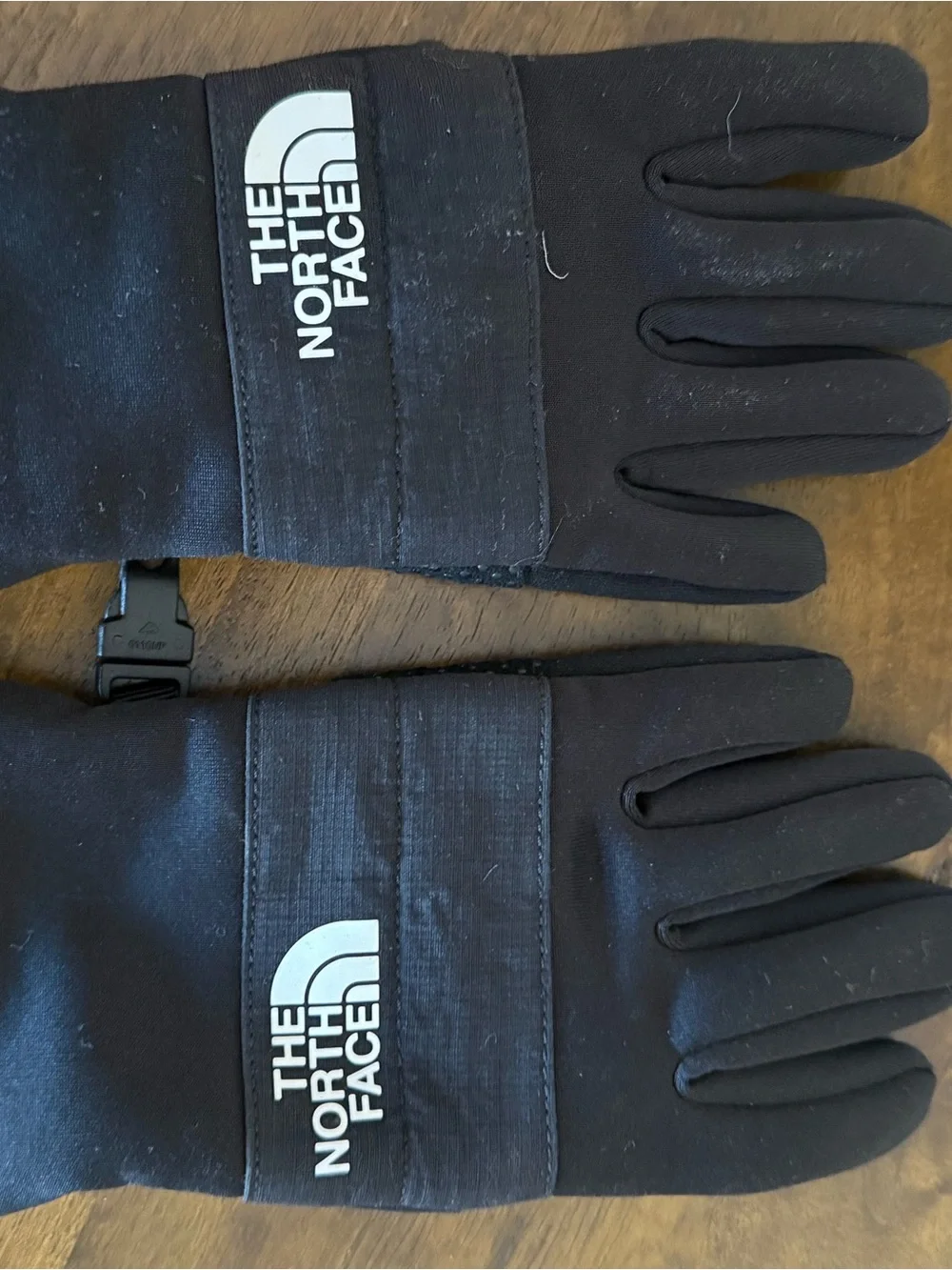 The North Face brand north